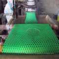 Best quality black HDPE/PP plastic square mesh